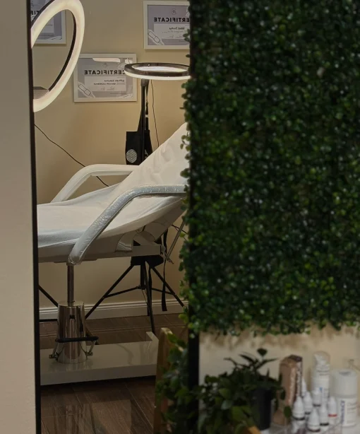 Nadorfi Dorottya PMU szemöldök tetováló művész tetoválás